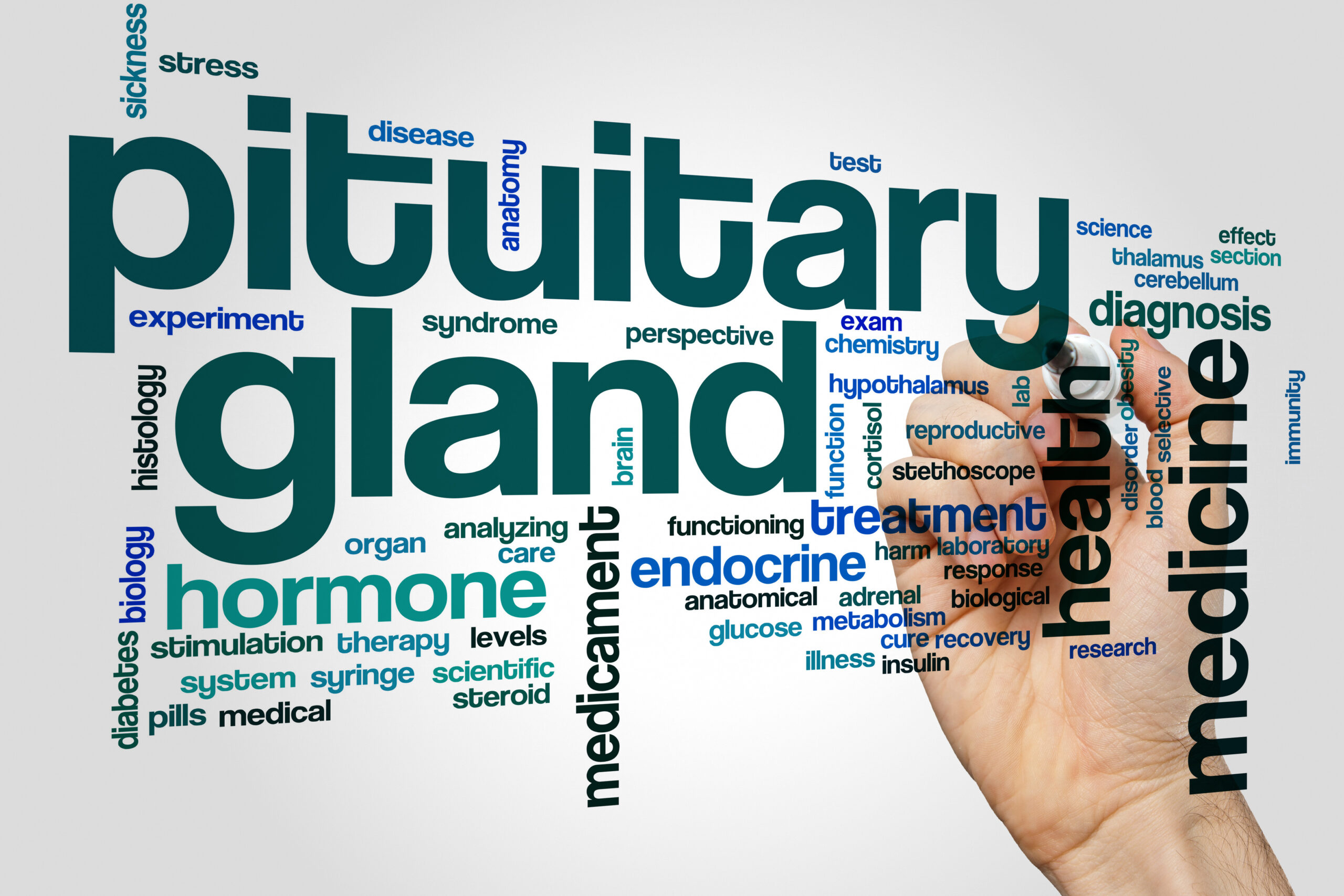 pituitary gland