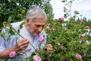 Sensory activities to engage late-stage dementia 1 Sensory activities for late stage dementia